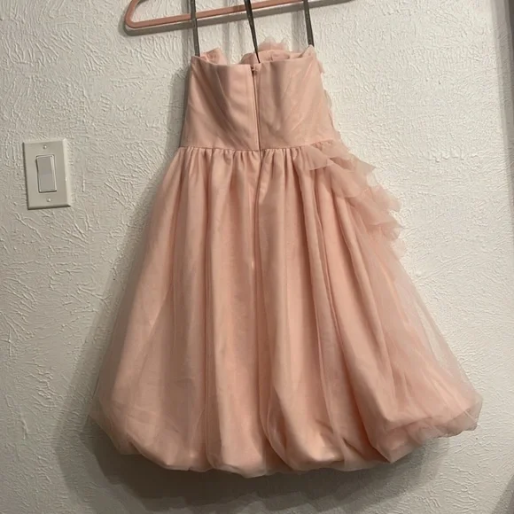 White by Vera Wang Tulle Puff Pink Dress Size 0 - Picture 8 of 8
